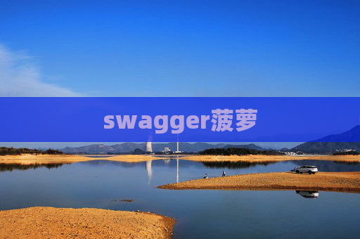 swagger菠萝